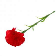 Искусственный цветок Гвоздика красная 1 шт. 