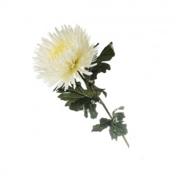Искусственный цветок Хризантема белая 1 шт. 