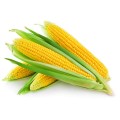 Кукуруза (6)
