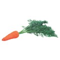 Морковь (15)
