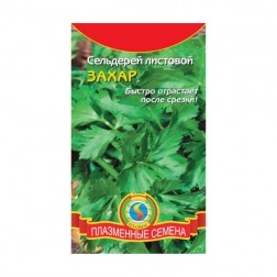 Семена Плазмас Сельдерей листовой Захар, 0,5 гр.